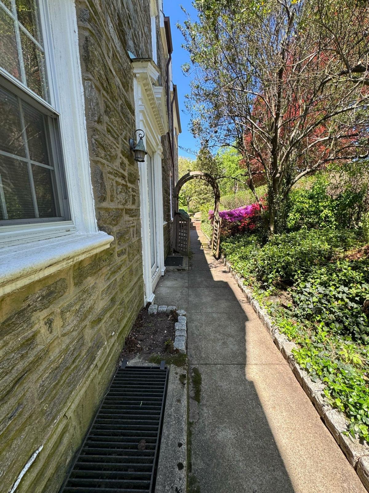 Yard cleanup work by Green Force Property Services